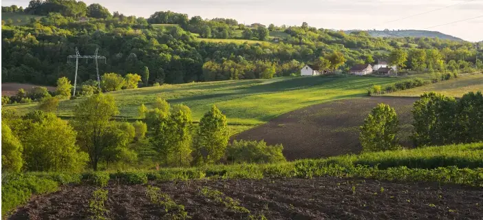 В какое время лучше всего покупать и продавать участок или дачу
